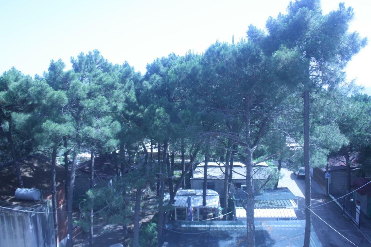 Hotel Hotel Temali 2